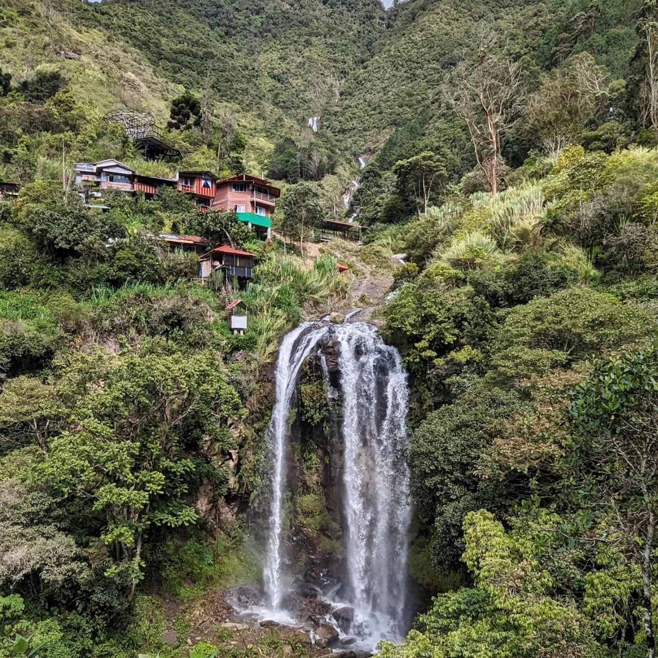 Cañonismo