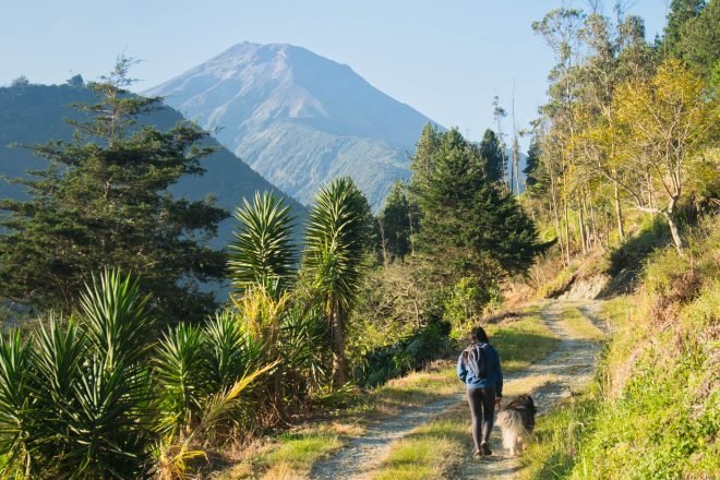 Sendero El Alpinar
