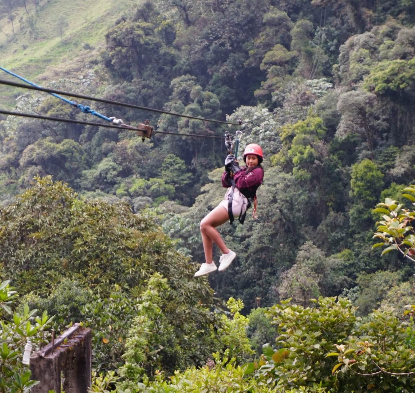 Tirolesa (canopy)